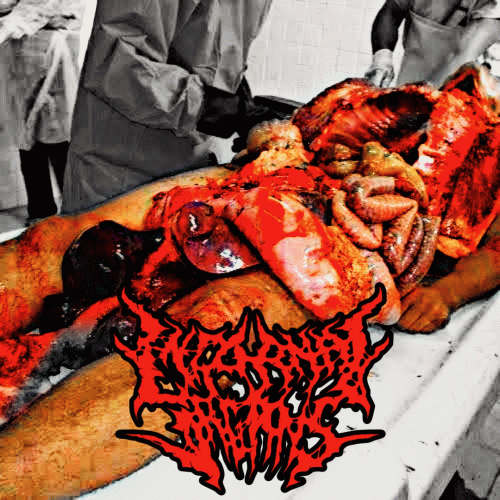 Internal Organs PH : 001